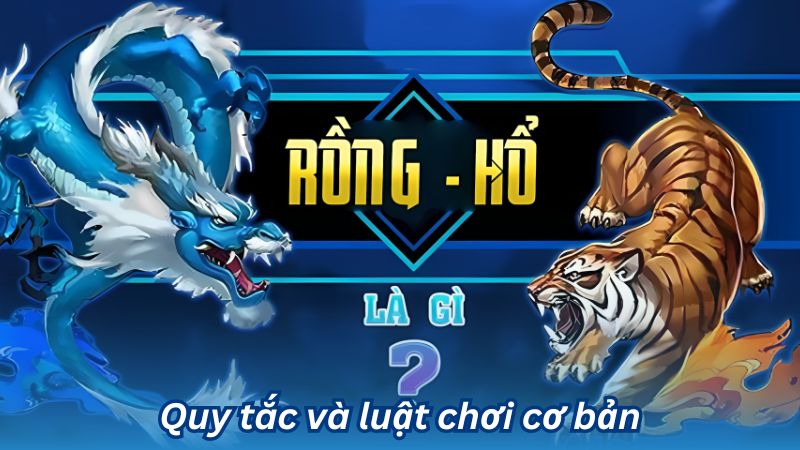 Quy tắc và luật chơi cơ bản