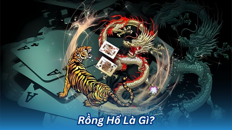 Rồng Hổ Là Gì?